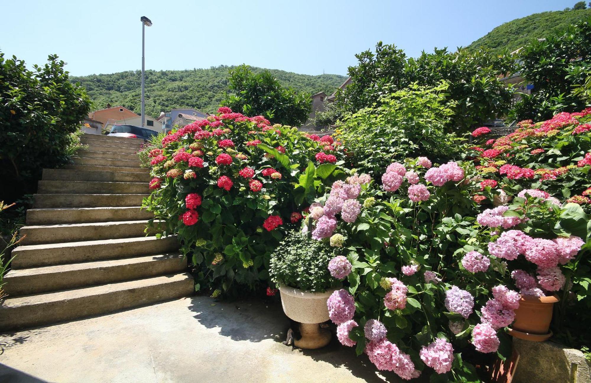 Apartments Raicevic بودفا المظهر الخارجي الصورة